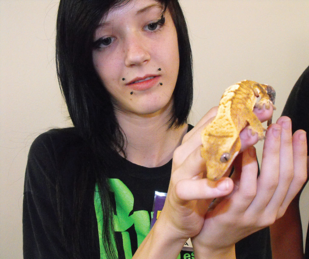 Repticon festival held at Davis County Fairgrounds in Farmington | News ...
